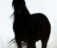 /album/fotogaleria/a38-jpg/